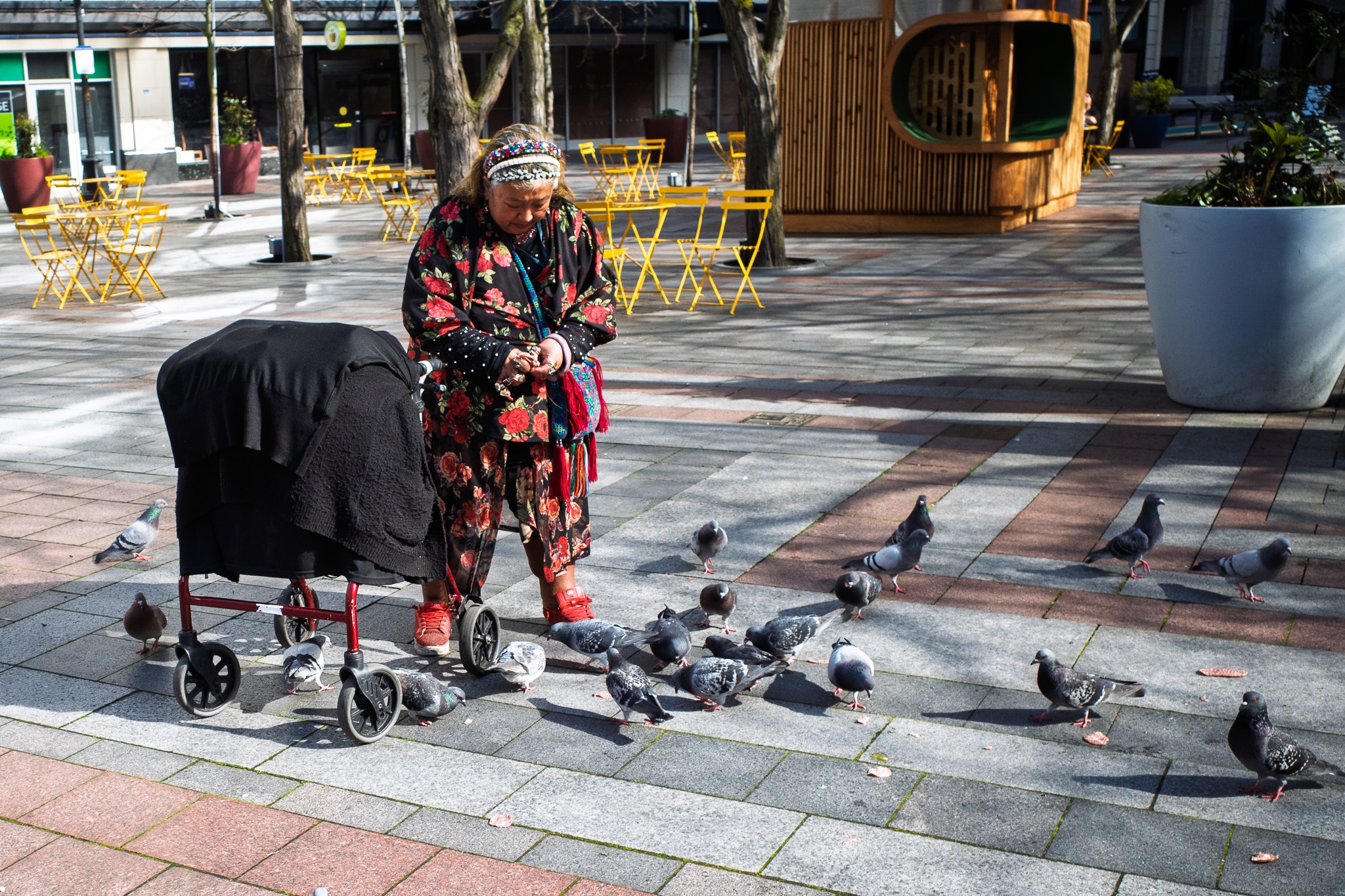 Feeding Pigeons in the Plaza