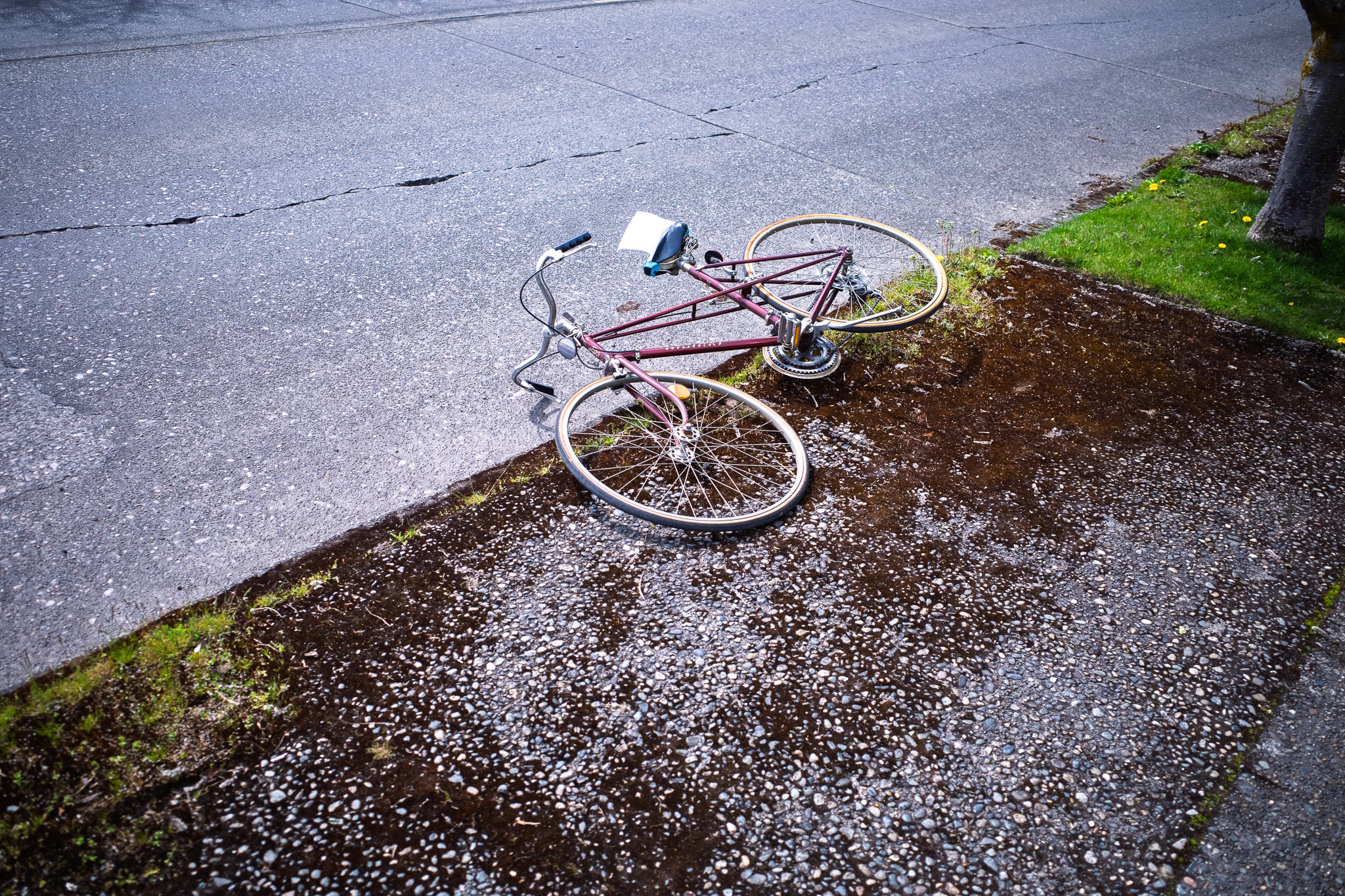 Abandoned Bicycle in Solitude
