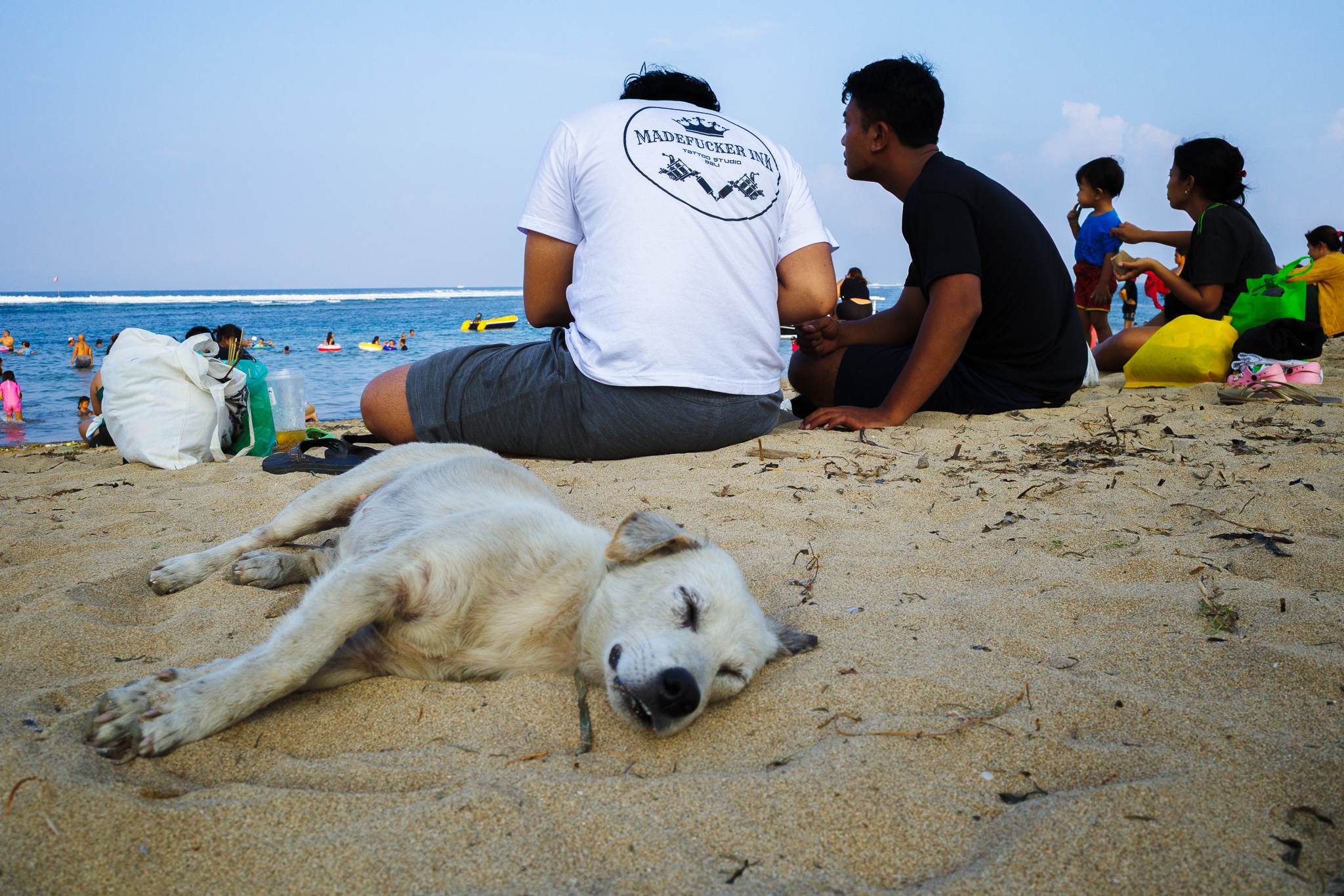 Beach Bliss: Dog Daydreams