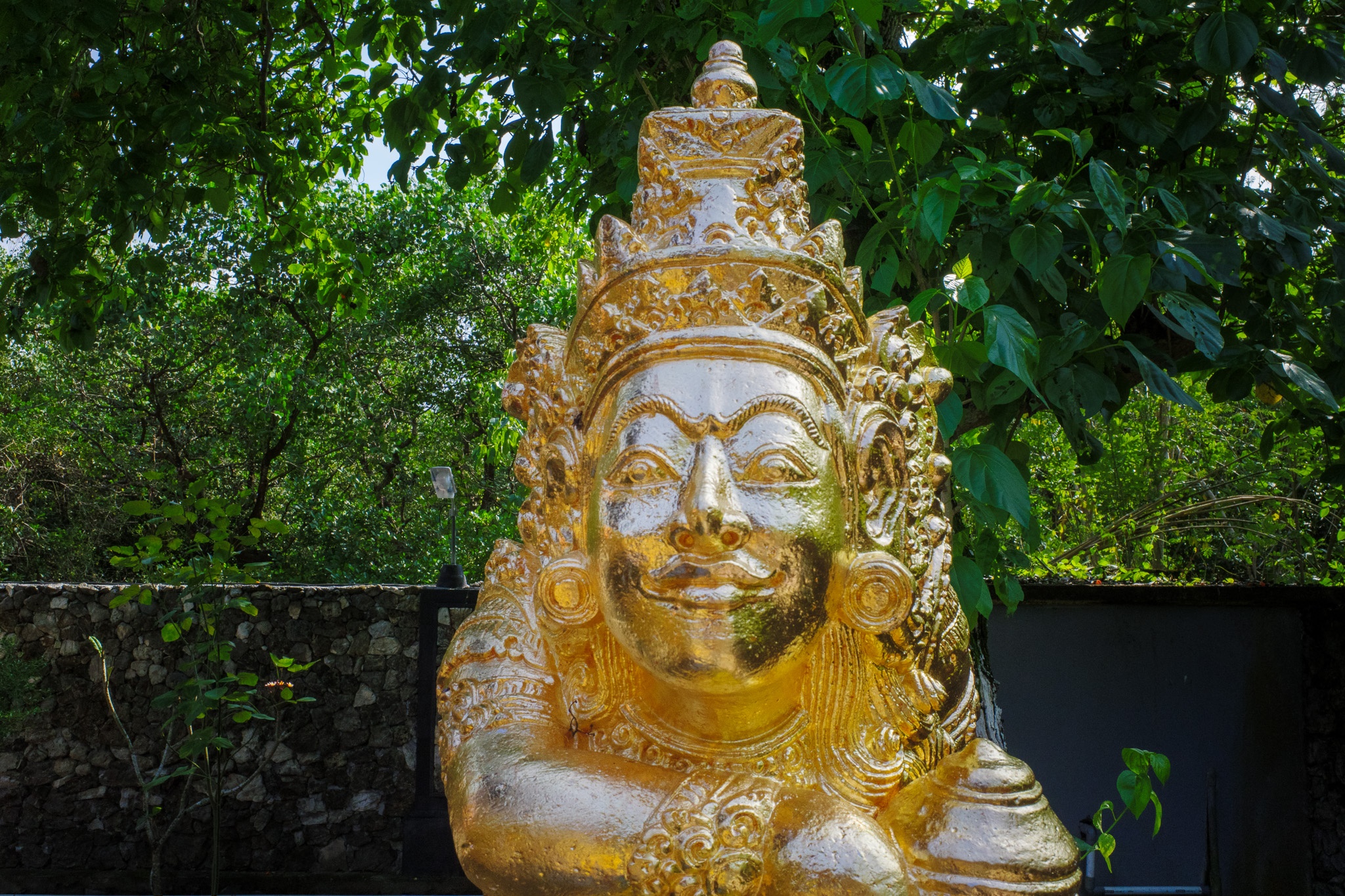 Golden Serenity in Nature