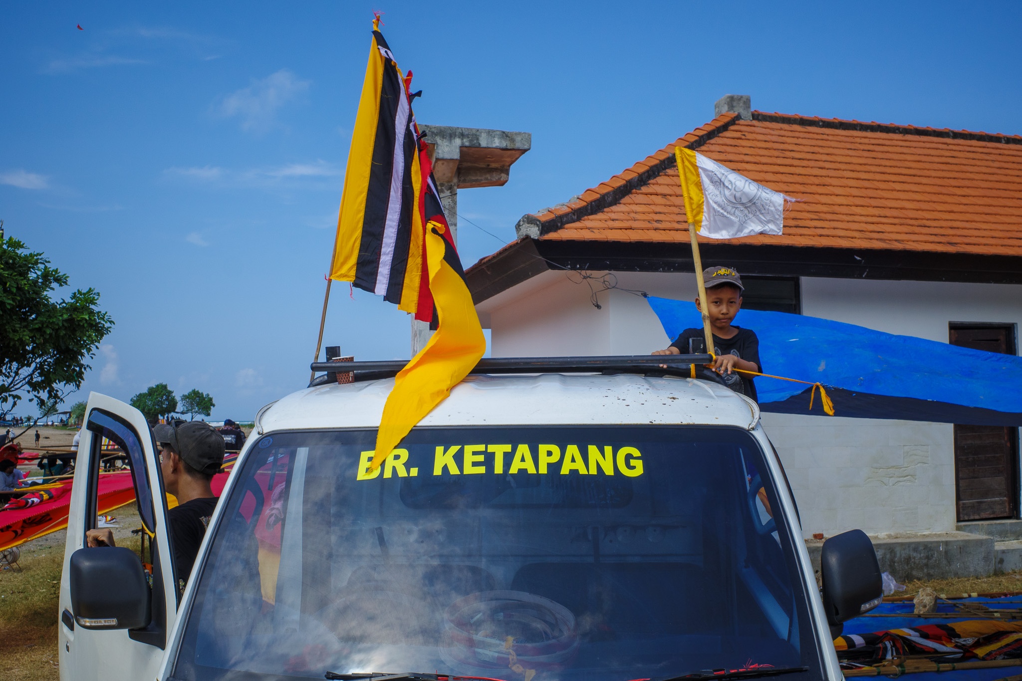 Proudly Waving Flags