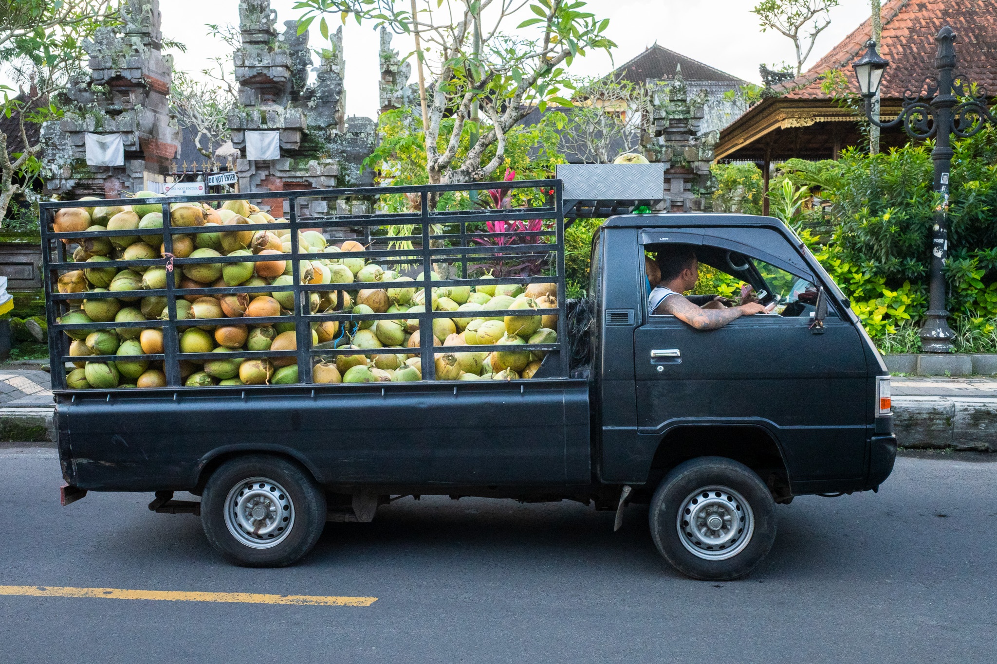Coconut Delivery in Bali