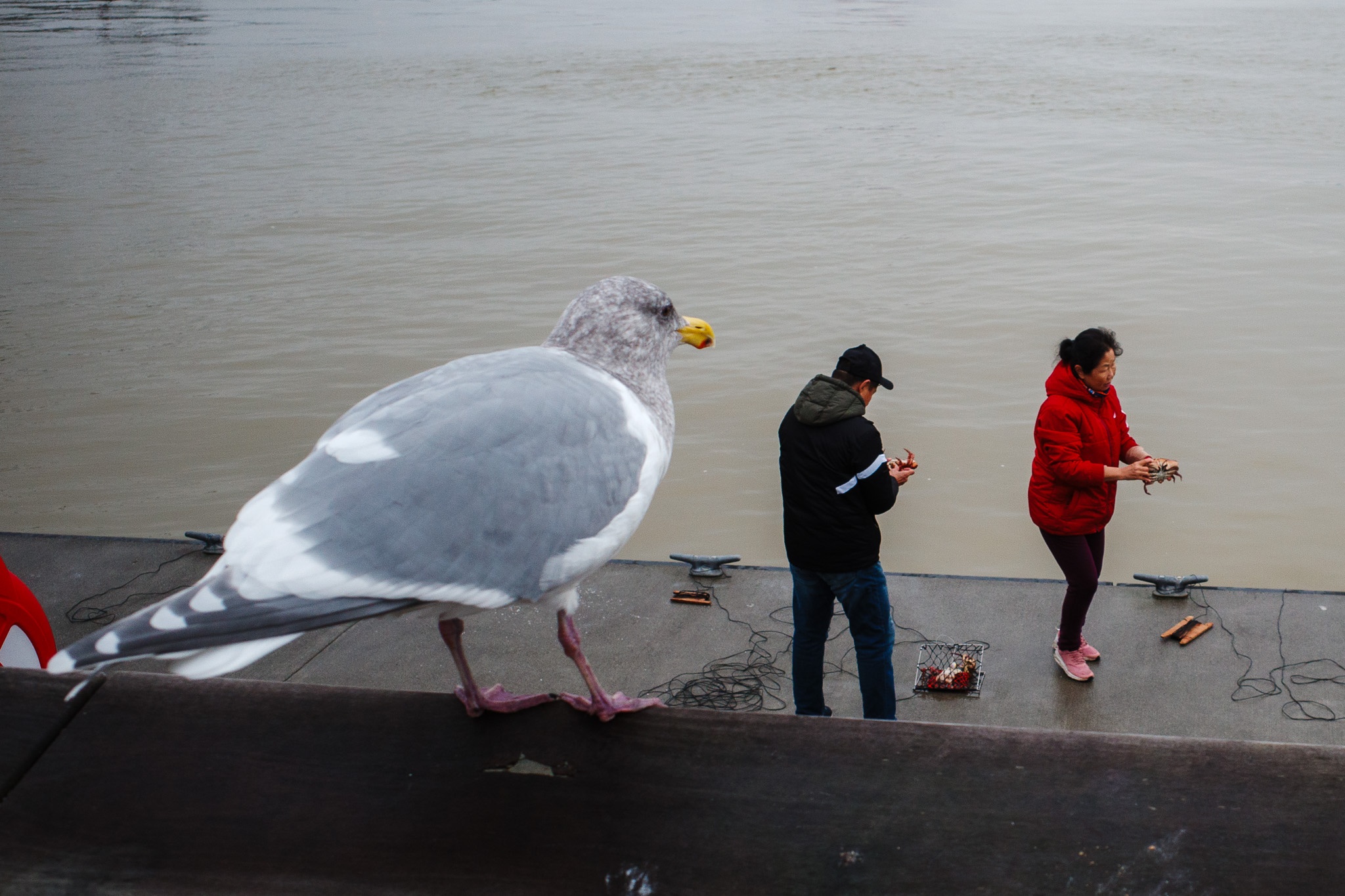 Christmas in Seattle