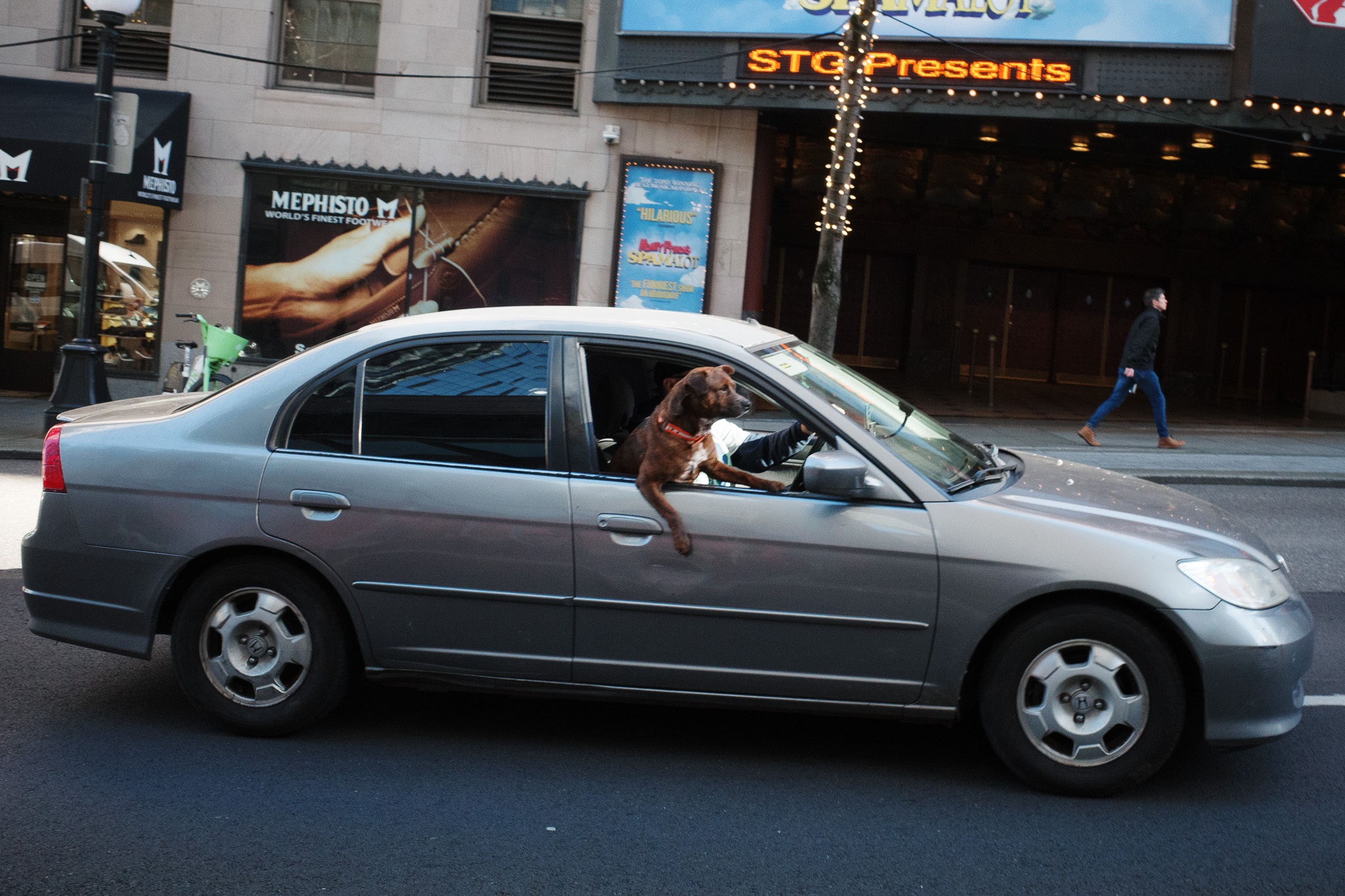 Urban Adventure: Dog's Delight