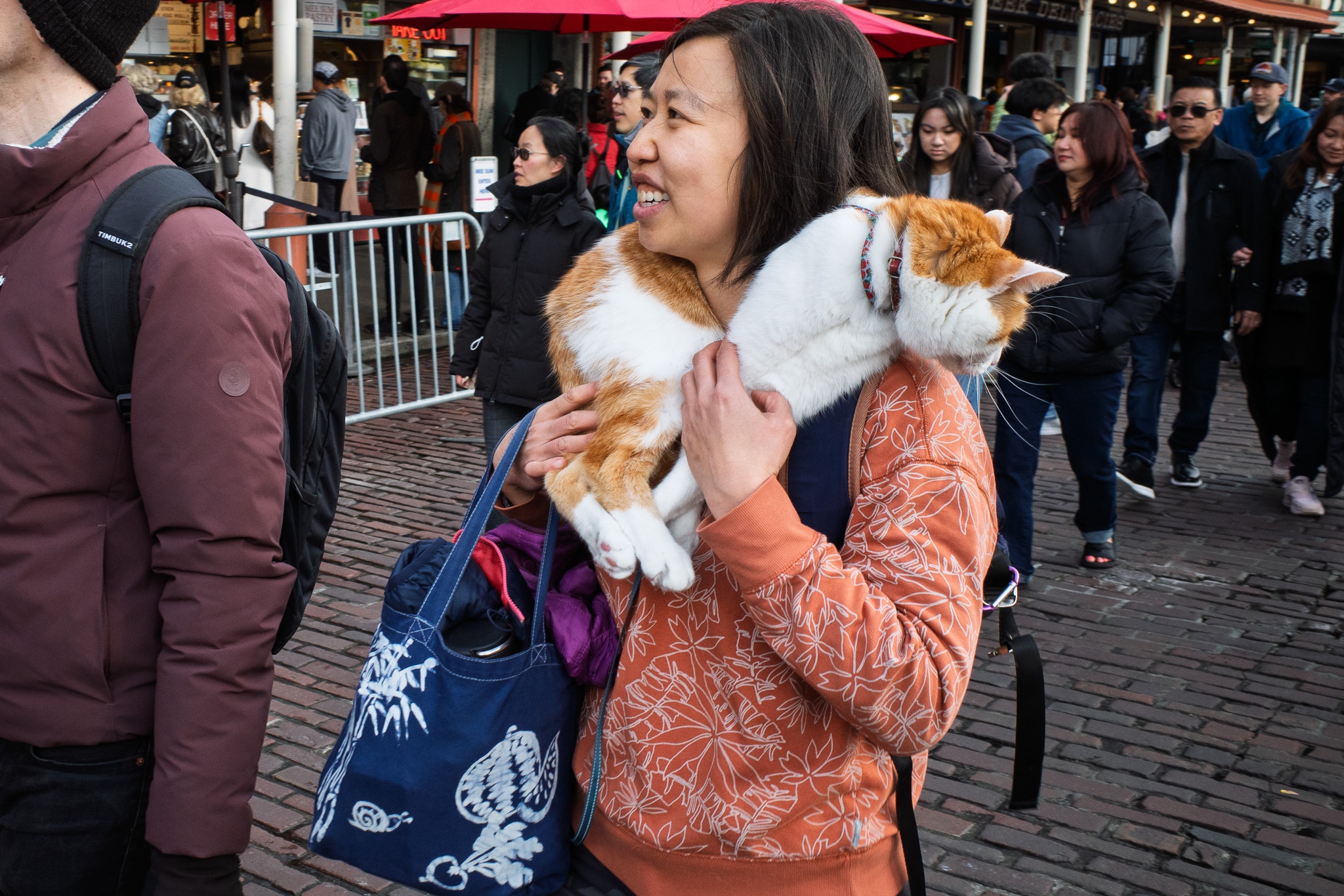 Market Joys with Cat