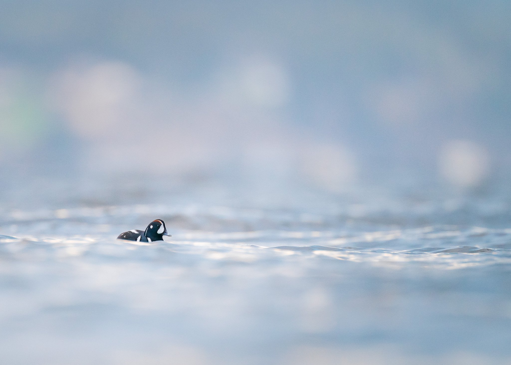 Reflections on the Water