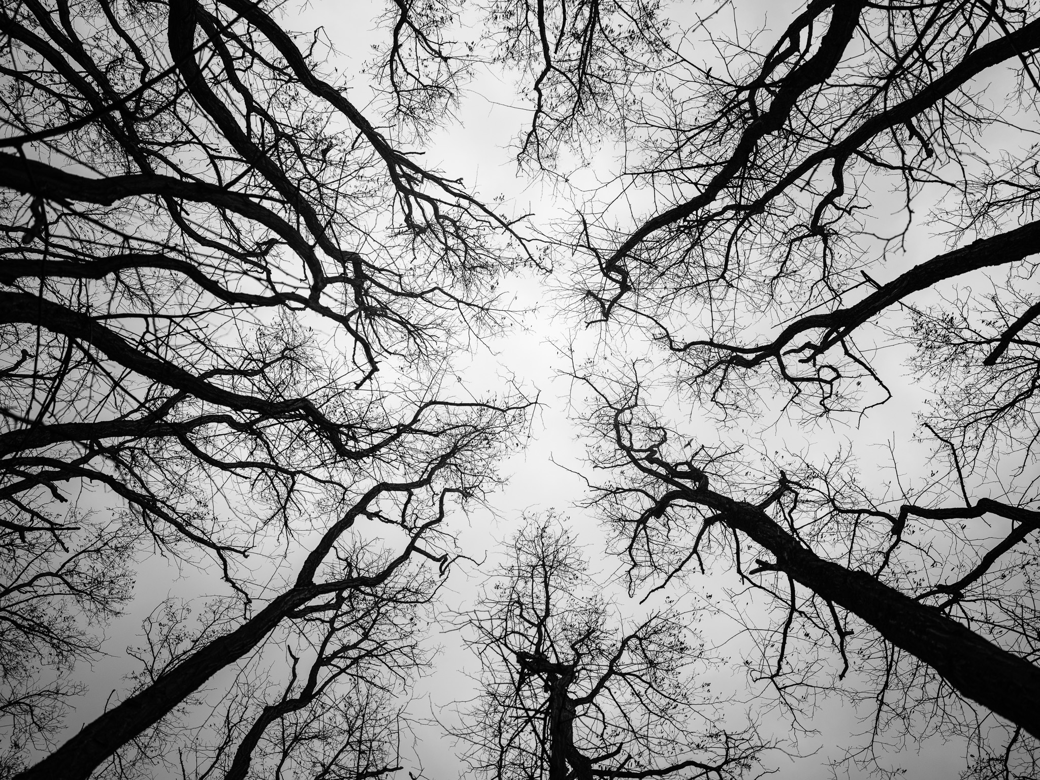 Nature's Perfectly Framed Moment